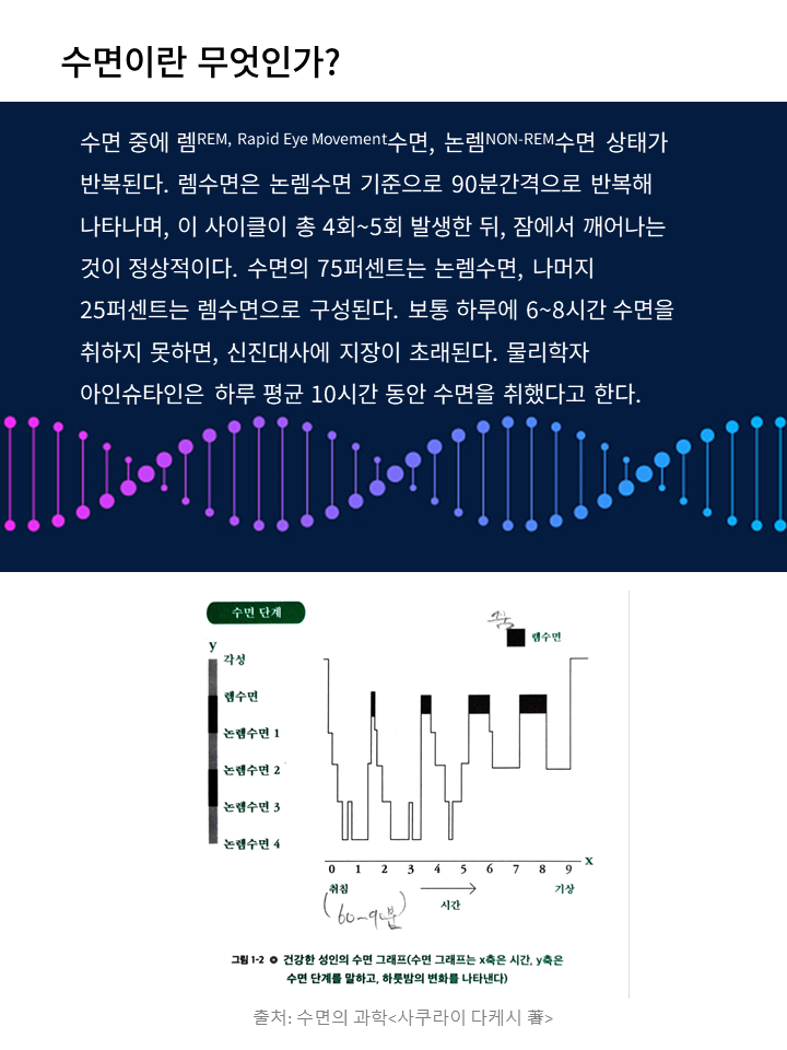 수면이란 무엇인가?